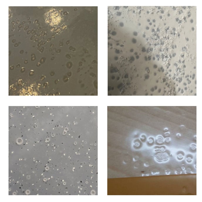 Why are there craters/pockmarks in the Epoxy? (Fisheye Effect)